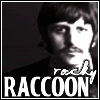 Ringo-RockyRaccoon.gif