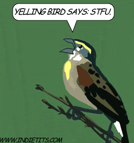 yellingbird-stfu.gif