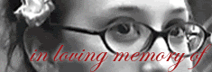 in loving memory of my old red glasses