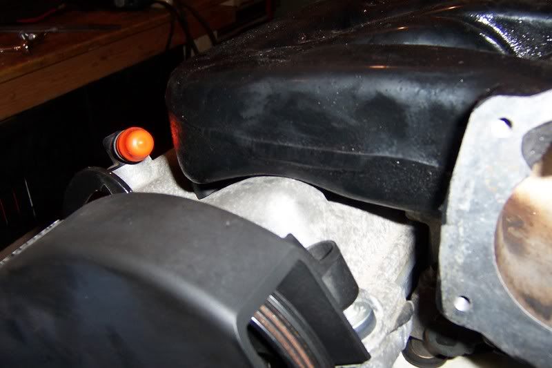 Picture014.jpg