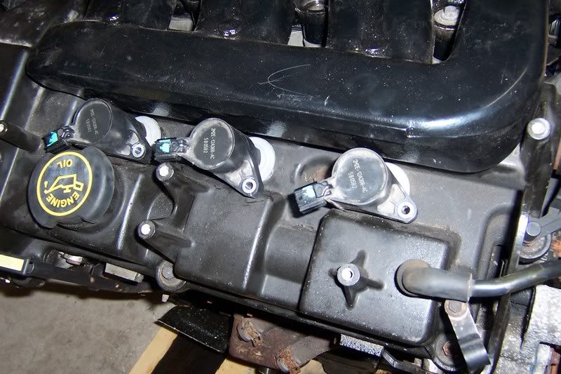 Picture016.jpg