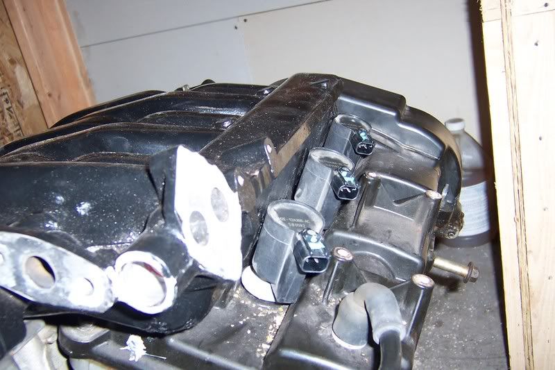 Picture018.jpg