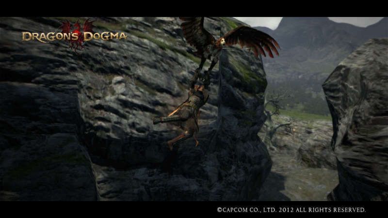 DragonsDogmaScreenshot_1.jpg