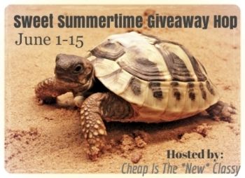 Sweet Summertime Giveaway Hop