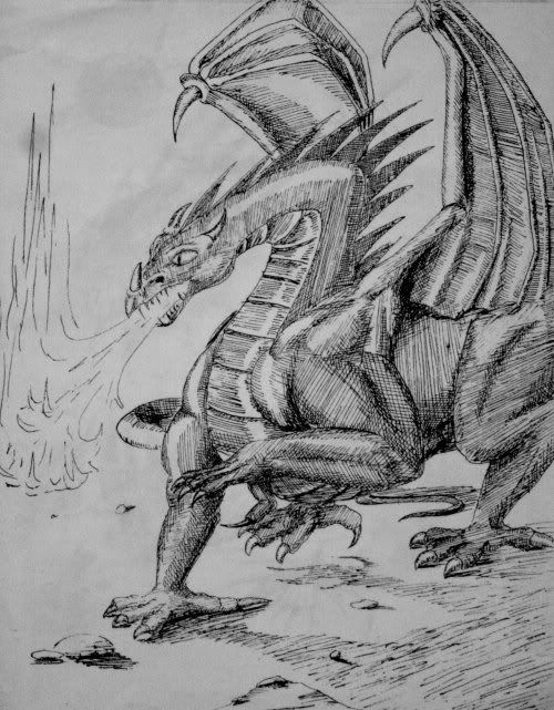 dragon tattoo drawings