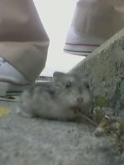 Image hosted by Photobucket.com