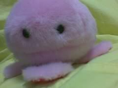 Image hosted by Photobucket.com