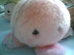 Image hosted by Photobucket.com