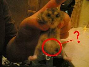 Image hosting by Photobucket