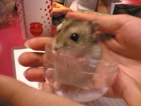 Image hosting by Photobucket