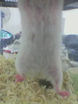 Image hosting by Photobucket