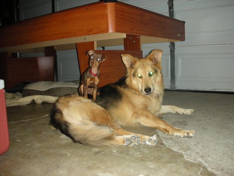 DSCN3140.jpg