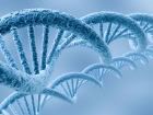 DNA.jpg