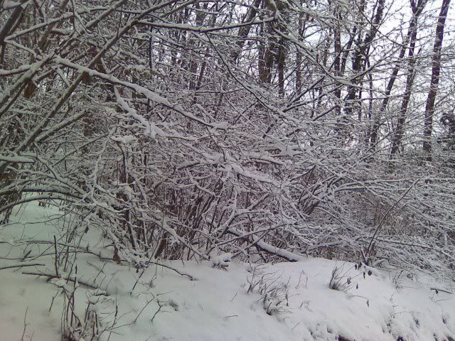 Image062sm.jpg