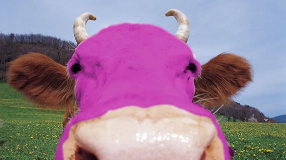 pink-cow-1.jpg