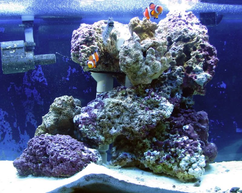 Aquarium1.jpg