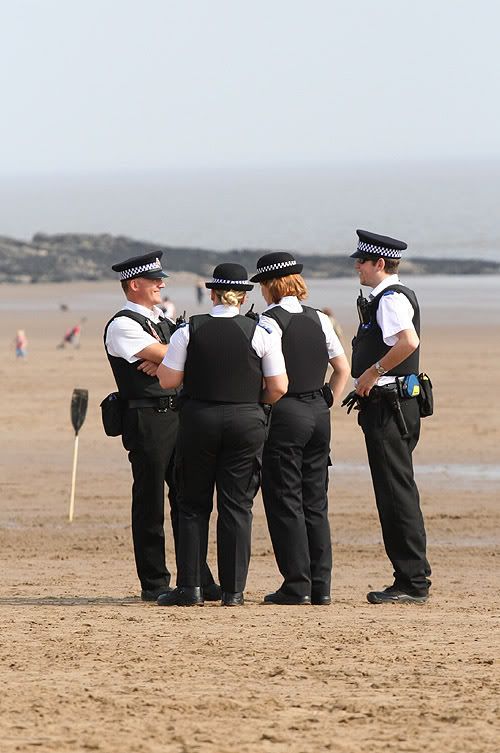 IMAGE: http://img.photobucket.com/albums/v258/Ryan04/Coppers.jpg