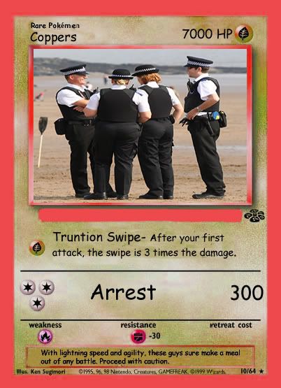 IMAGE: http://img.photobucket.com/albums/v258/Ryan04/CoppersPokemoncopy.jpg