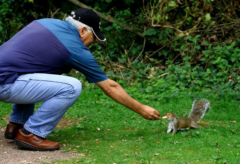 IMAGE: http://img.photobucket.com/albums/v258/Ryan04/Photography/Squirrel2small.jpg