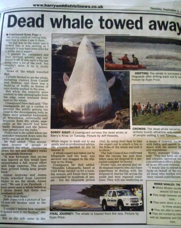 IMAGE: http://img.photobucket.com/albums/v258/Ryan04/Whale/Photo882.jpg