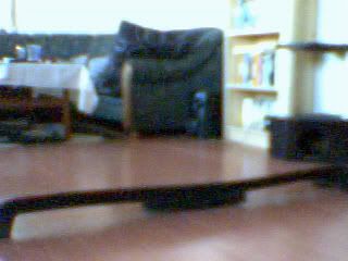Picture2.jpg