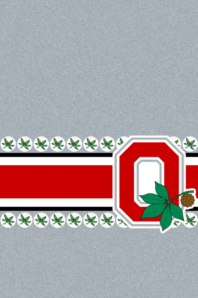 Buckeyes_iPhone_HOME_2_zps5c768c92.png