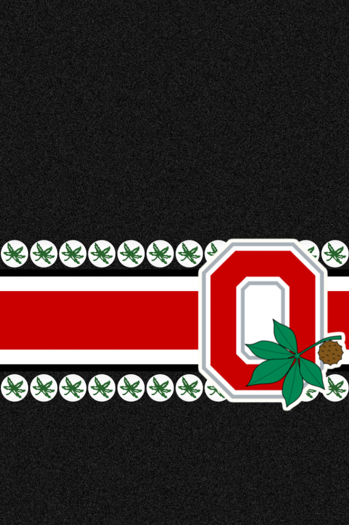 Buckeyes_iPhone_NIGHT_zps5f3dc7ab.png