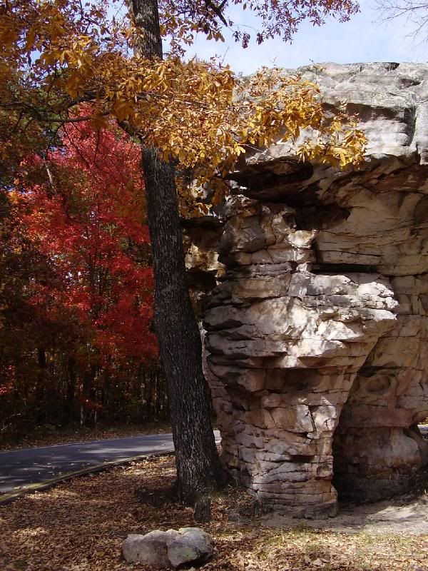 Kids Forts forts for kids. Kids Forts