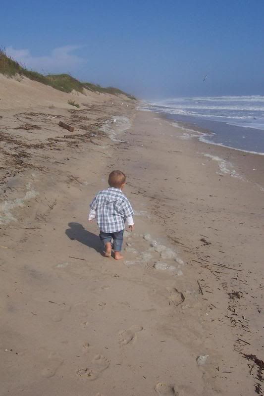 Everyone's Desktop Wallpaper?