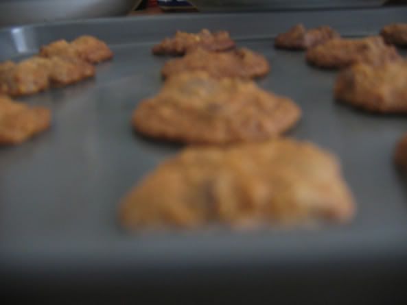 Image hosted by Photobucket.com