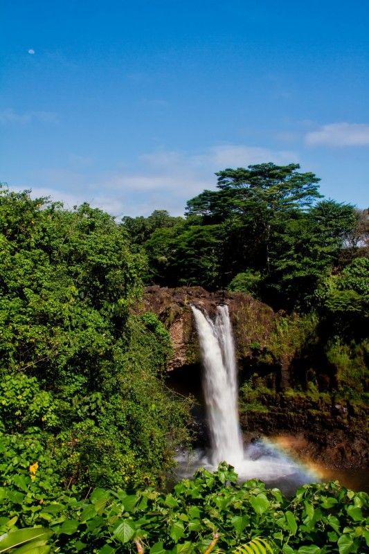 IMAGE: http://img.photobucket.com/albums/v259/Tasiamay/Hawaii/IMG_5828.jpg