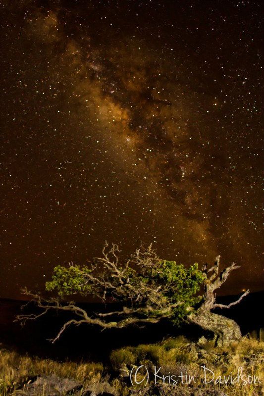 IMAGE: http://img.photobucket.com/albums/v259/Tasiamay/Hawaii/IMG_6032.jpg