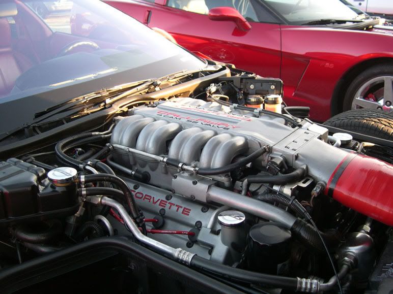 DSCN3966.jpg