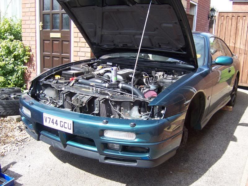 [Image: 100_0523.jpg]