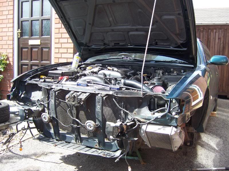 [Image: 100_0525.jpg]