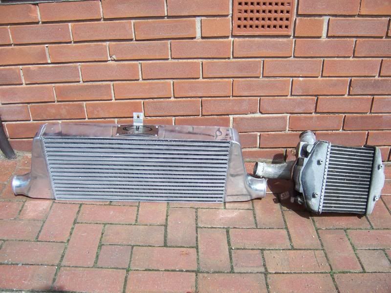 [Image: 100_0528.jpg]