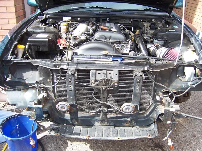 [Image: 100_0529.jpg]