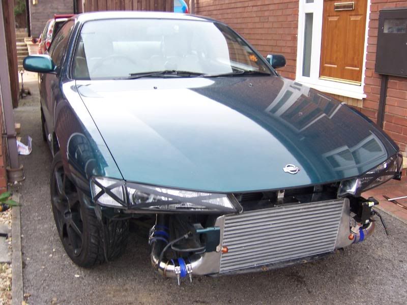 [Image: 100_0546-1.jpg]