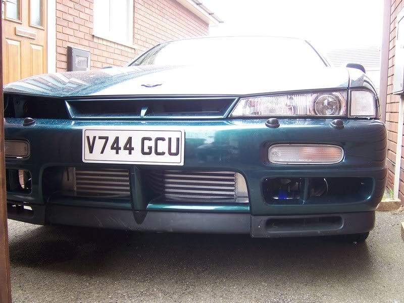 [Image: 100_0549.jpg]