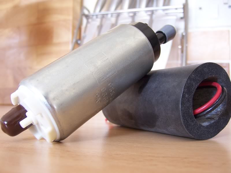 [Image: 100_0663.jpg]