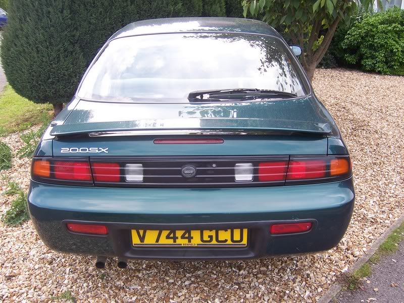 [Image: 100_4630.jpg]