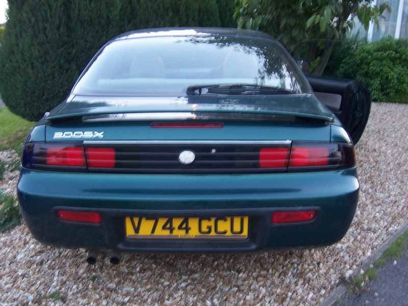 [Image: 100_4636.jpg]