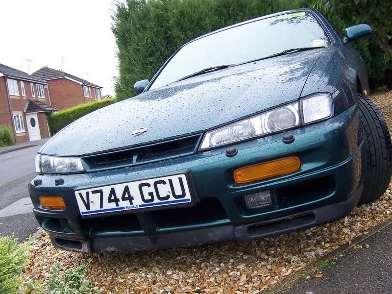 [Image: 100_5403.jpg]