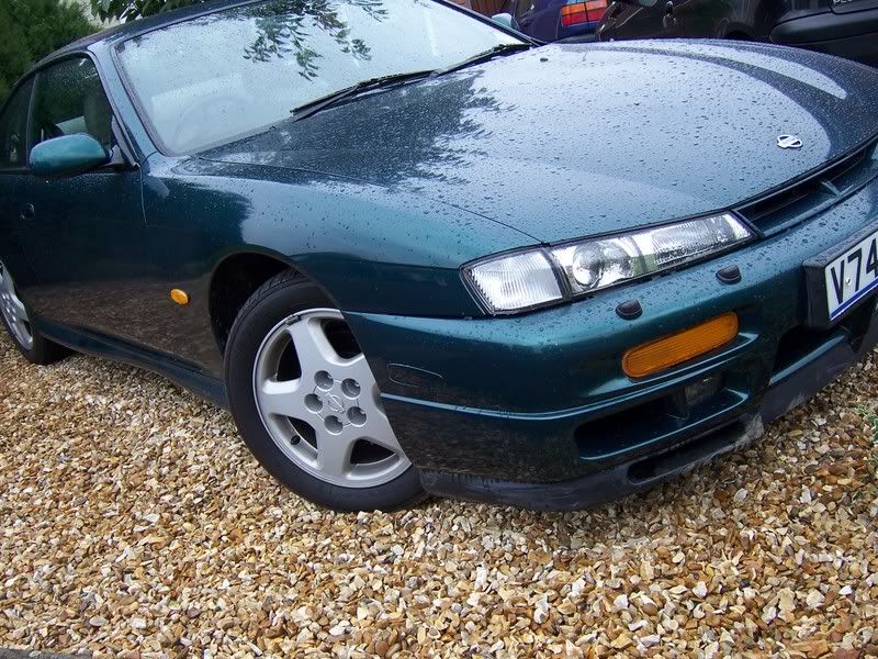 [Image: 100_5404.jpg]