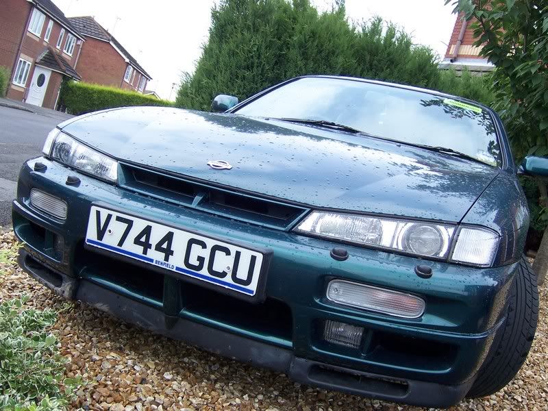 [Image: 100_5405.jpg]