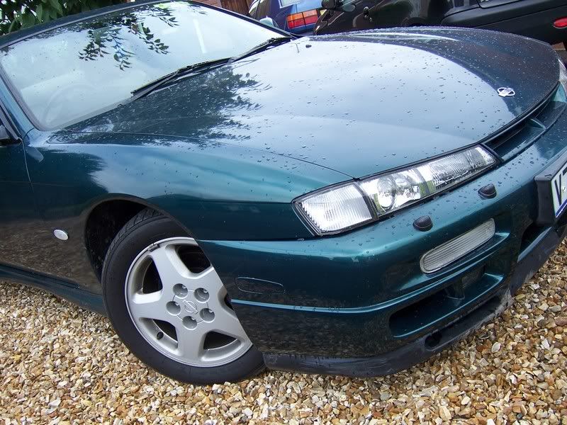 [Image: 100_5406.jpg]