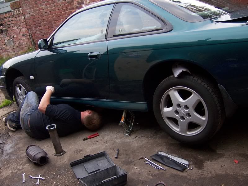 [Image: 100_5420.jpg]