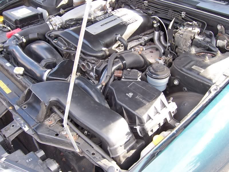 [Image: 100_5454.jpg]