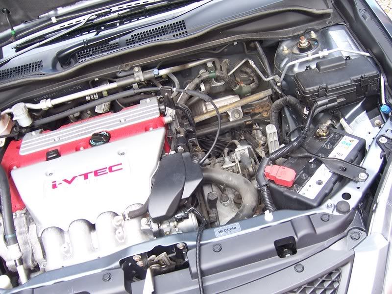 [Image: 100_5456.jpg]