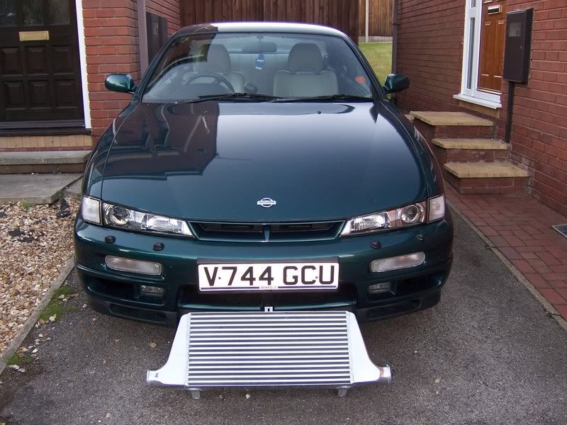 [Image: 100_8043.jpg]